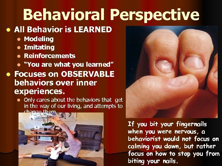 Behavioral Perspective l All Behavior is LEARNED Modeling l Imitating l Reinforcements l “You