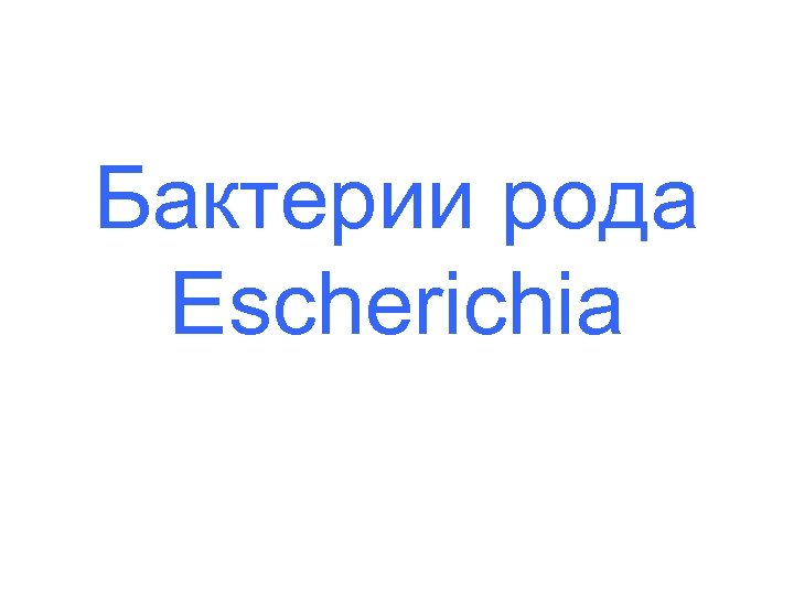 Бактерии рода Escherichia 