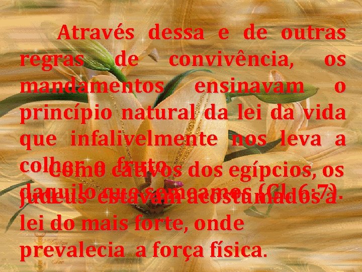 Através dessa e de outras regras de convivência, os mandamentos ensinavam o princípio natural