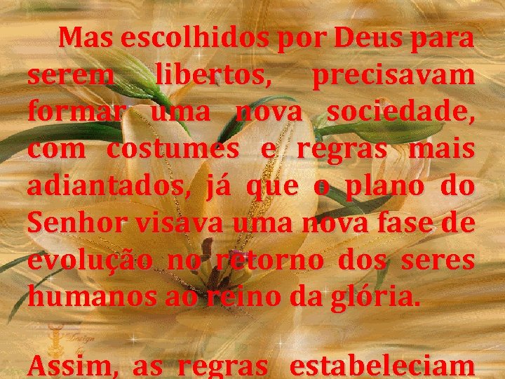  Mas escolhidos por Deus para serem libertos, precisavam formar uma nova sociedade, com