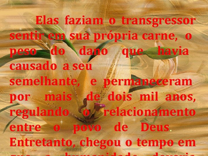  Elas faziam o transgressor sentir em sua própria carne, o peso dano que