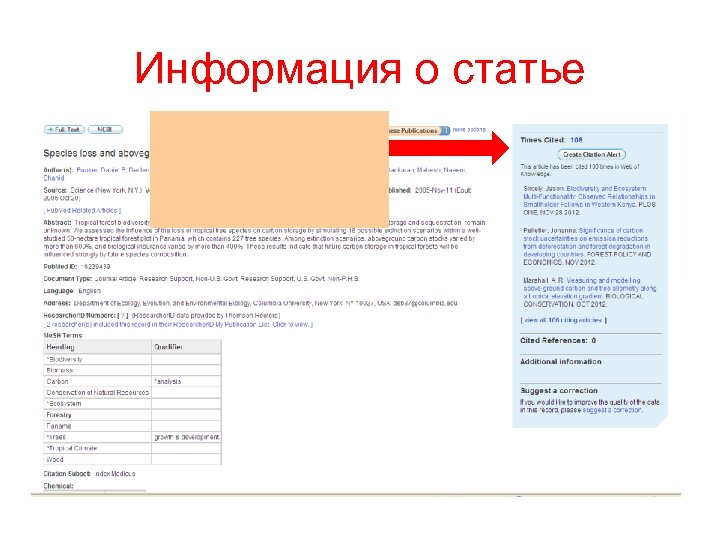 Информация о статье 