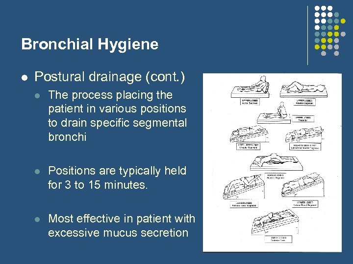 Bronchial Hygiene l Postural drainage (cont. ) l The process placing the patient in