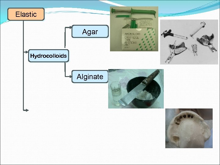 Elastic Agar Hydrocolloids Alginate 