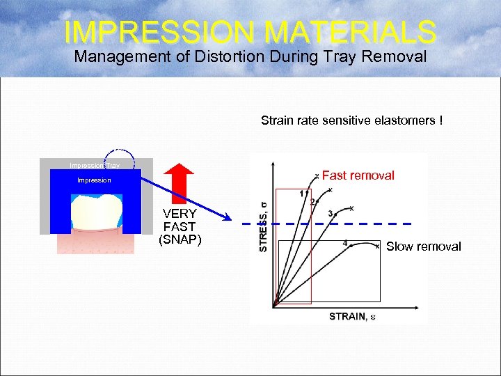 IMPRESSION MATERIALS Management of Distortion During Tray Removal Strain rate sensitive elastomers ! Impression