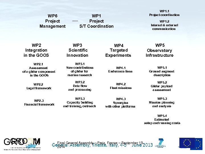 WP 6 Project Management WP 2 Integration in the GOOS WP 1 Project S/T