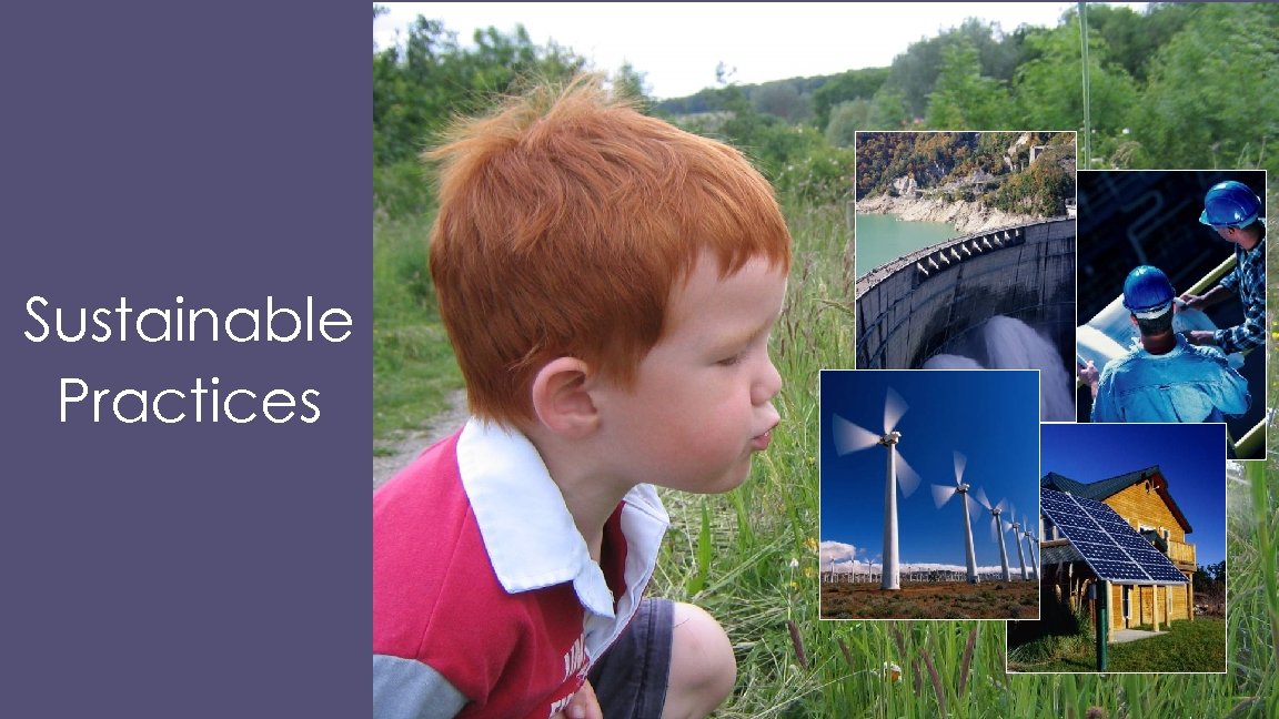 Sustainable Practices 