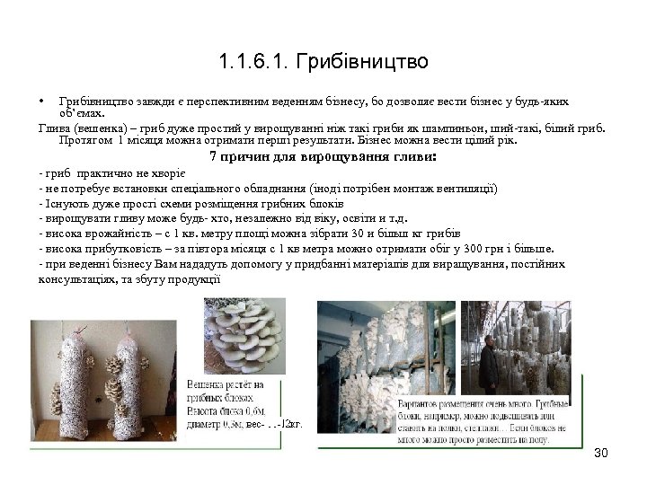 1. 1. 6. 1. Грибівництво • Грибівництво завжди є перспективним веденням бізнесу, бо дозволяє