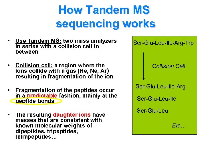 How Tandem MS sequencing works • Use Tandem MS: two mass analyzers in series