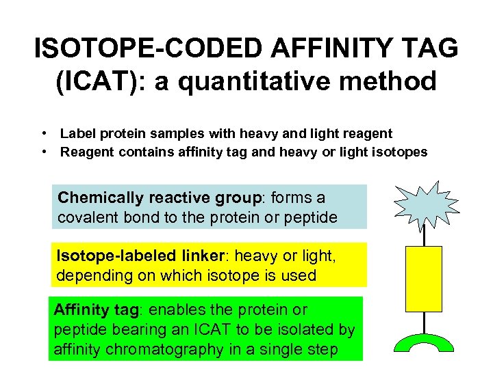 ISOTOPE-CODED AFFINITY TAG (ICAT): a quantitative method • Label protein samples with heavy and