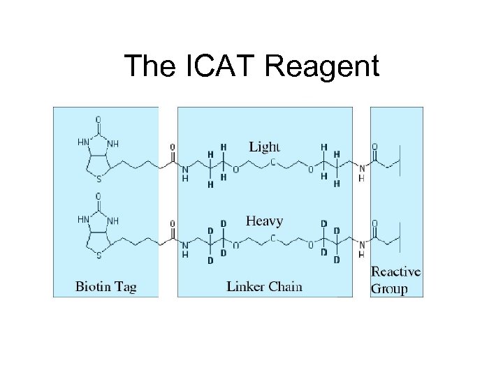 The ICAT Reagent 