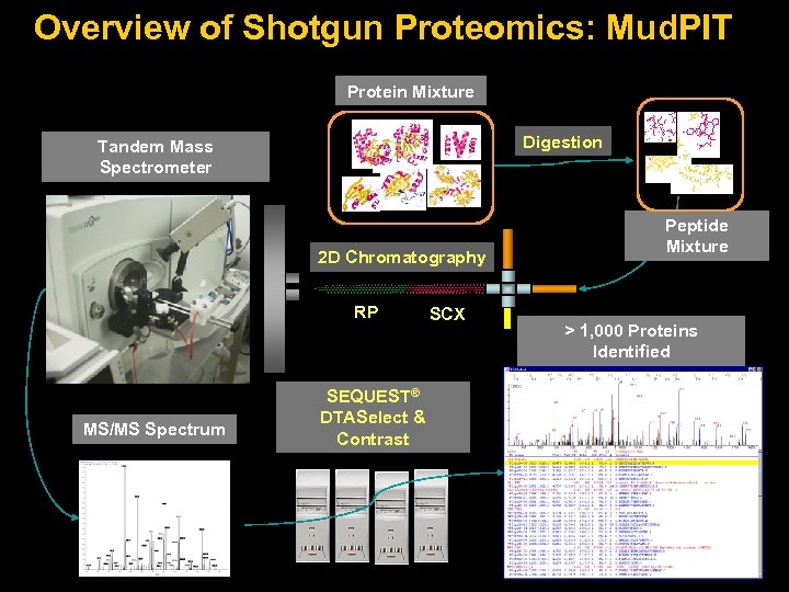 Overview of Shotgun Proteomics: Mud. PIT Protein Mixture Digestion Tandem Mass Spectrometer 2 D