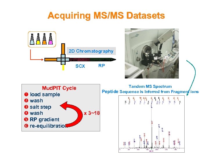 Acquiring MS/MS Datasets 2 D Chromatography SCX Mud. PIT Cycle load sample wash salt