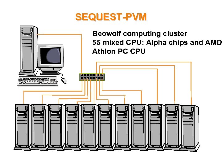 SEQUEST-PVM Beowolf computing cluster 55 mixed CPU: Alpha chips and AMD Athlon PC CPU