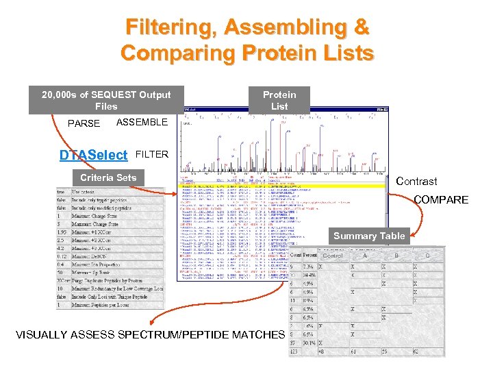 Filtering, Assembling & Comparing Protein Lists 20, 000 s of SEQUEST Output Files PARSE