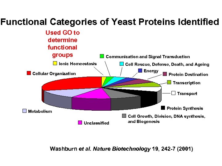 Functional Categories of Yeast Proteins Identified Used GO to determine functional groups Communication and