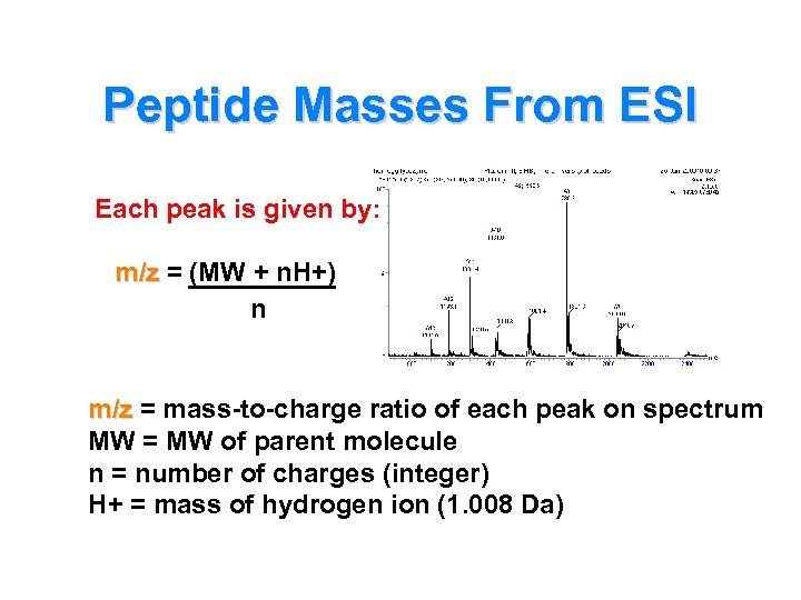 Peptide Masses From ESI Each peak is given by: m/z = (MW + n.