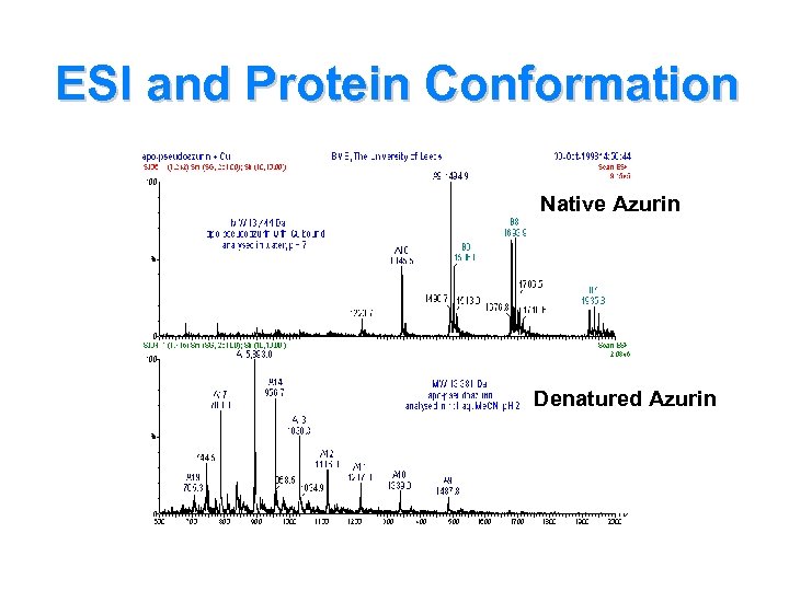 ESI and Protein Conformation Native Azurin Denatured Azurin 