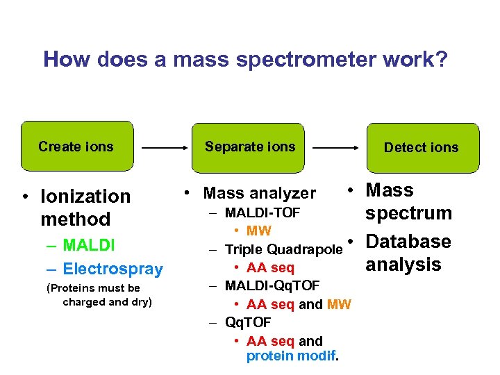 How does a mass spectrometer work? Create ions Separate ions • Ionization method •