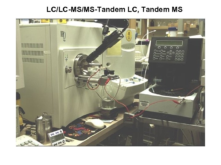 LC/LC-MS/MS-Tandem LC, Tandem MS 