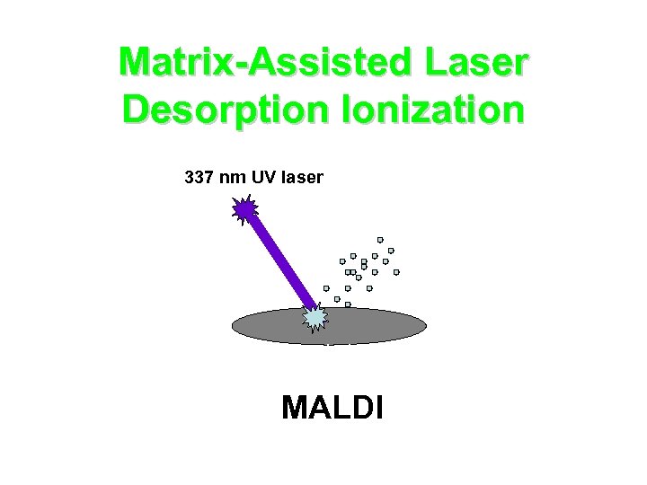 Matrix-Assisted Laser Desorption Ionization 337 nm UV laser cyano-hydroxy cinnamic acid MALDI 