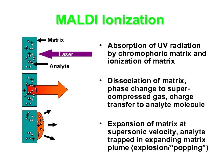 MALDI Ionization Matrix + + +-+ Laser Analyte + + + -+ -++ +