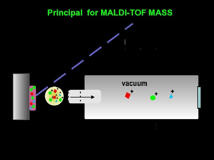 Principal for MALDI-TOF MASS 