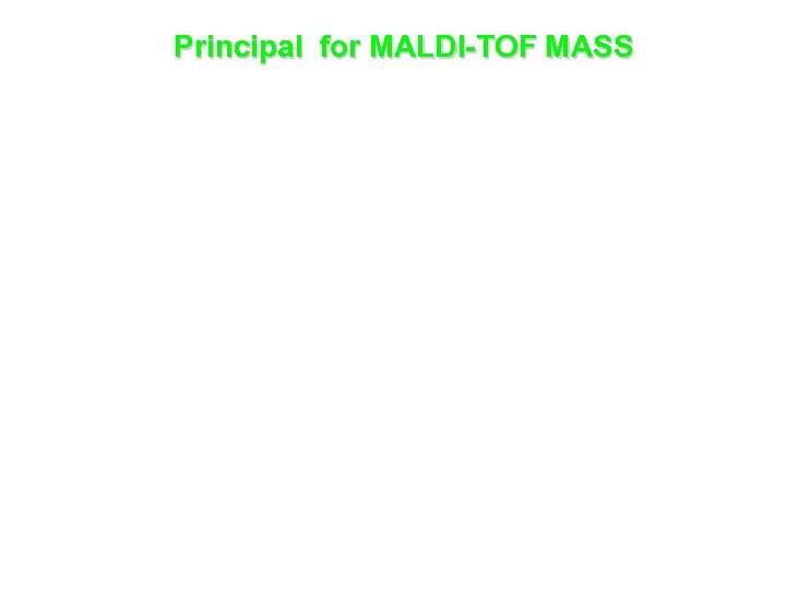 Principal for MALDI-TOF MASS 