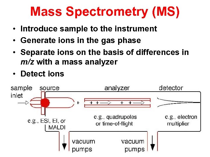 Mass Spectrometry (MS) • Introduce sample to the instrument • Generate ions in the