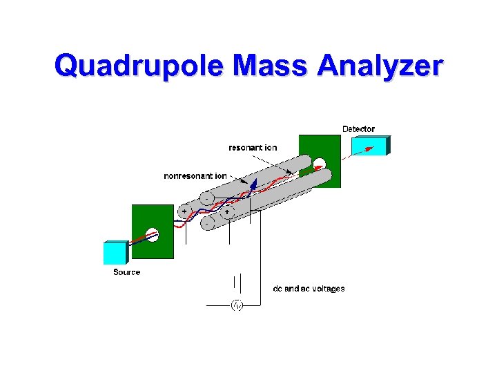 Quadrupole Mass Analyzer 