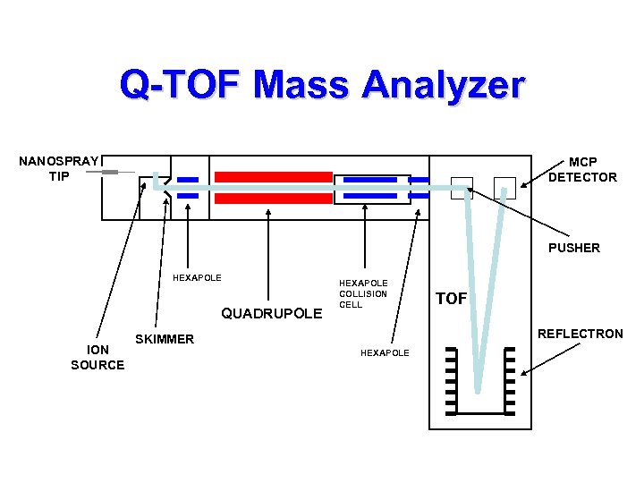 Q-TOF Mass Analyzer NANOSPRAY TIP MCP DETECTOR PUSHER HEXAPOLE QUADRUPOLE ION SOURCE HEXAPOLE COLLISION