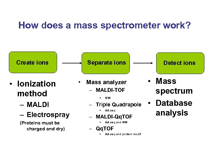 How does a mass spectrometer work? Create ions • Ionization method – MALDI –