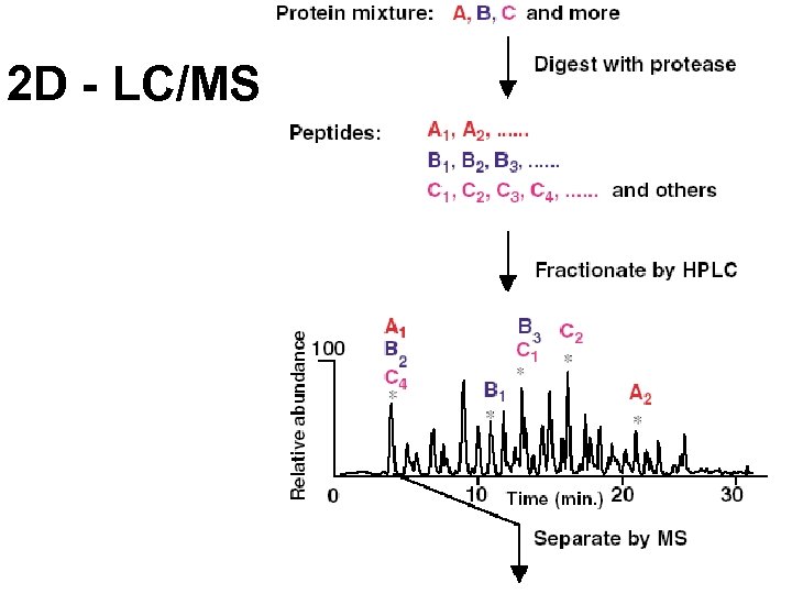 2 D - LC/MS 