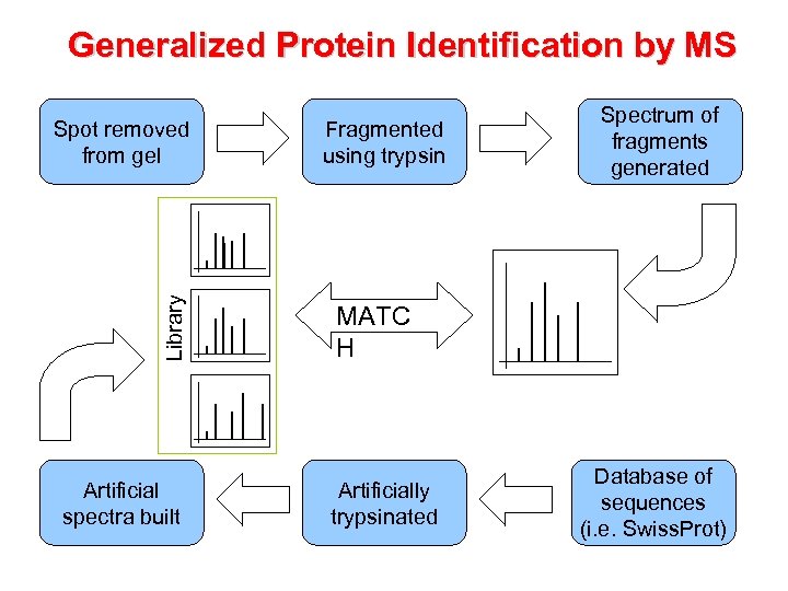 Generalized Protein Identification by MS Library Spot removed from gel Artificial spectra built Fragmented