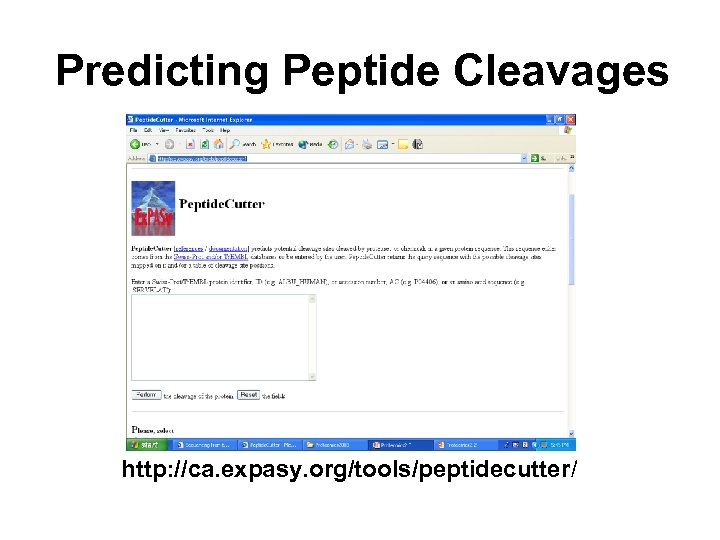 Predicting Peptide Cleavages http: //ca. expasy. org/tools/peptidecutter/ 