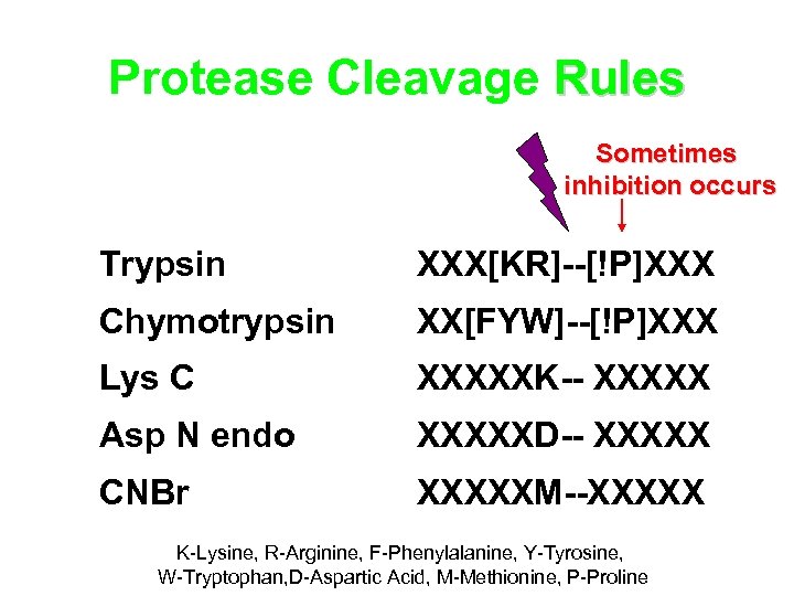 Protease Cleavage Rules Sometimes inhibition occurs Trypsin XXX[KR]--[!P]XXX Chymotrypsin XX[FYW]--[!P]XXX Lys C XXXXXK-- XXXXX