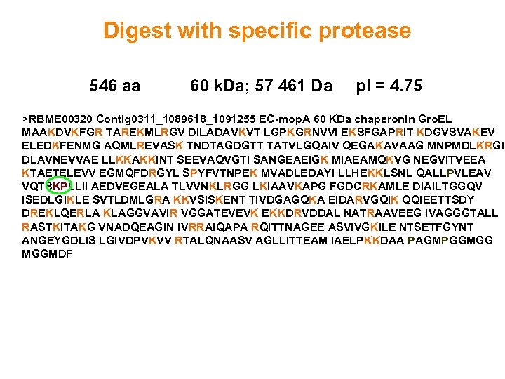 Digest with specific protease 546 aa 60 k. Da; 57 461 Da p. I