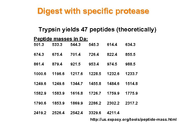 Digest with specific protease Trypsin yields 47 peptides (theoretically) Peptide masses in Da: 501.