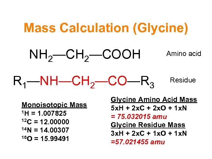 Mass Calculation (Glycine) NH 2—COOH Amino acid R 1—NH—CH 2—CO—R 3 Residue Monoisotopic Mass