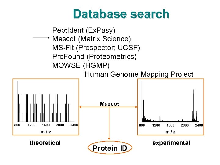 Database search Pept. Ident (Ex. Pasy) Mascot (Matrix Science) MS-Fit (Prospector; UCSF) Pro. Found