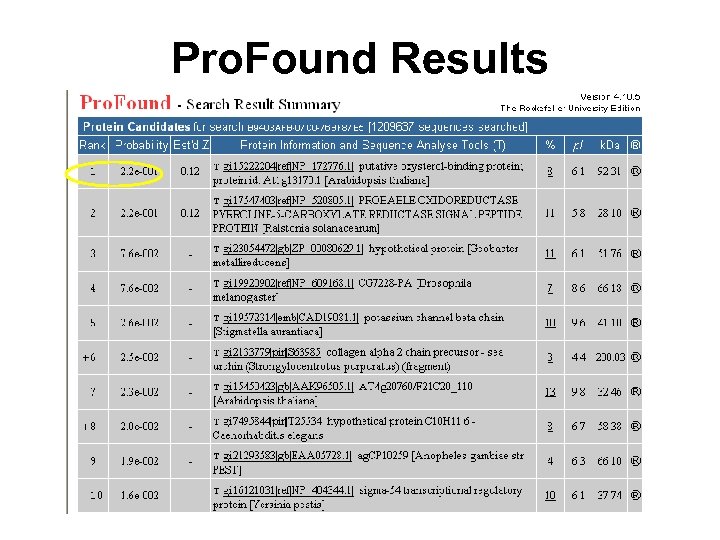 Pro. Found Results 