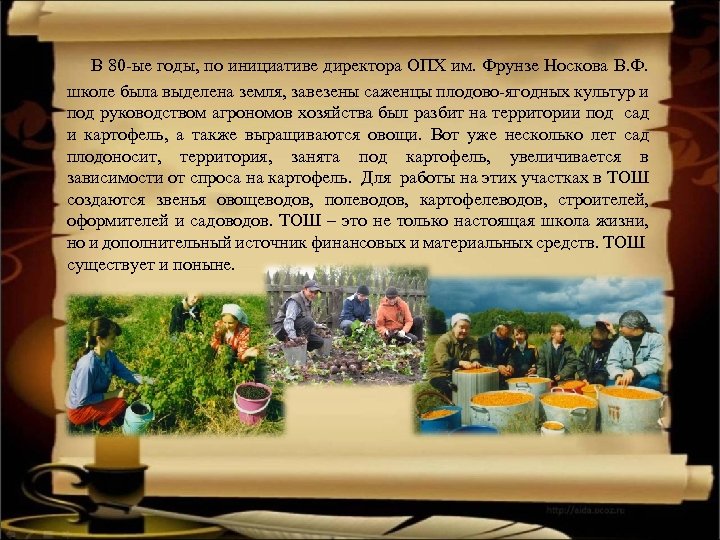 В 80 -ые годы, по инициативе директора ОПХ им. Фрунзе Носкова В. Ф. школе