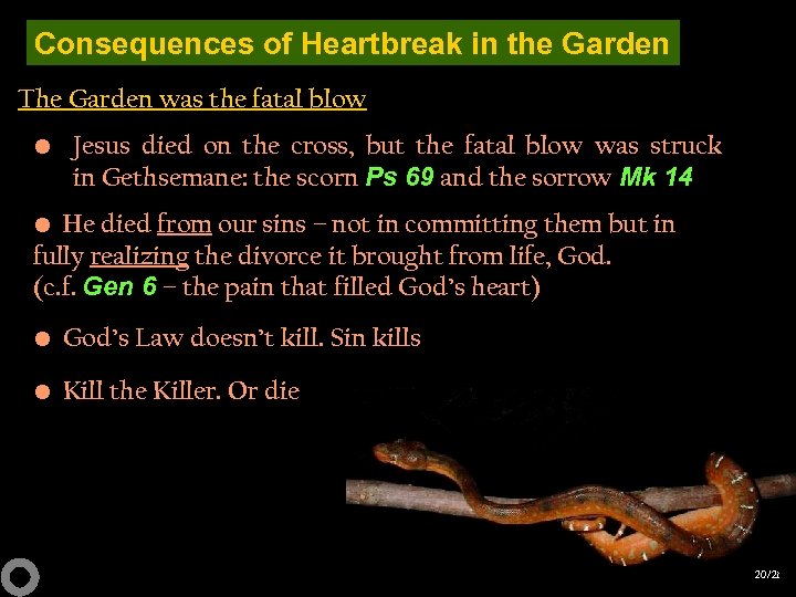 Consequences of Heartbreak in the Garden The Garden was the fatal blow • Jesus