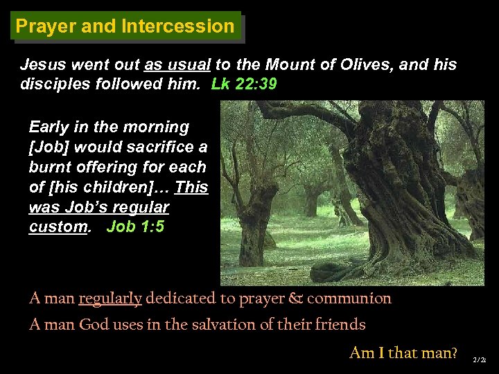 Prayer and Intercession Jesus went out as usual to the Mount of Olives, and