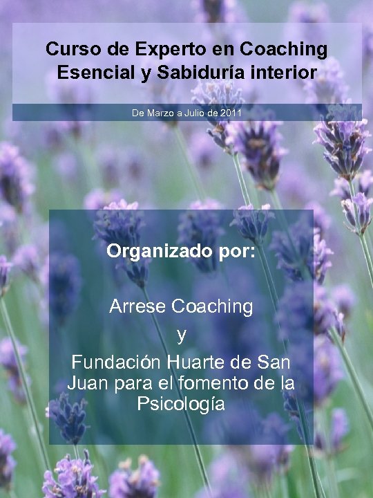 Curso de Experto en Coaching Esencial y Sabiduría interior De Marzo a Julio de
