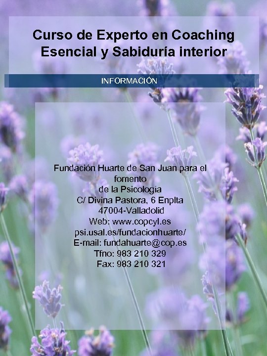 Curso de Experto en Coaching Esencial y Sabiduría interior INFORMACIÓN Fundación Huarte de San