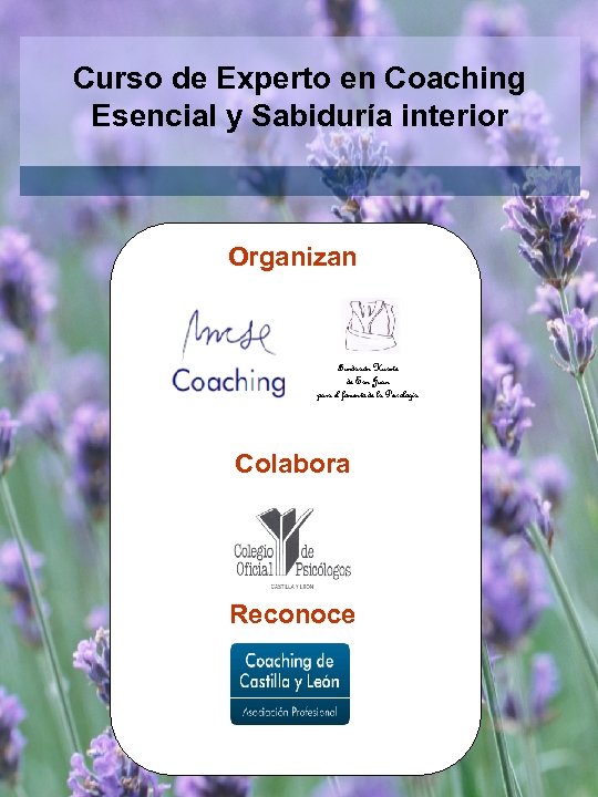 Curso de Experto en Coaching Esencial y Sabiduría interior Organizan Fundación Huarte de San