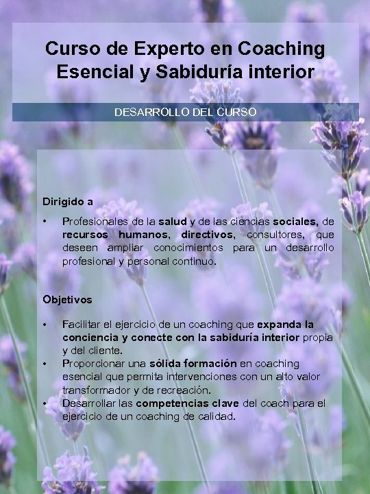 Curso de Experto en Coaching Esencial y Sabiduría interior DESARROLLO DEL CURSO Dirigido a
