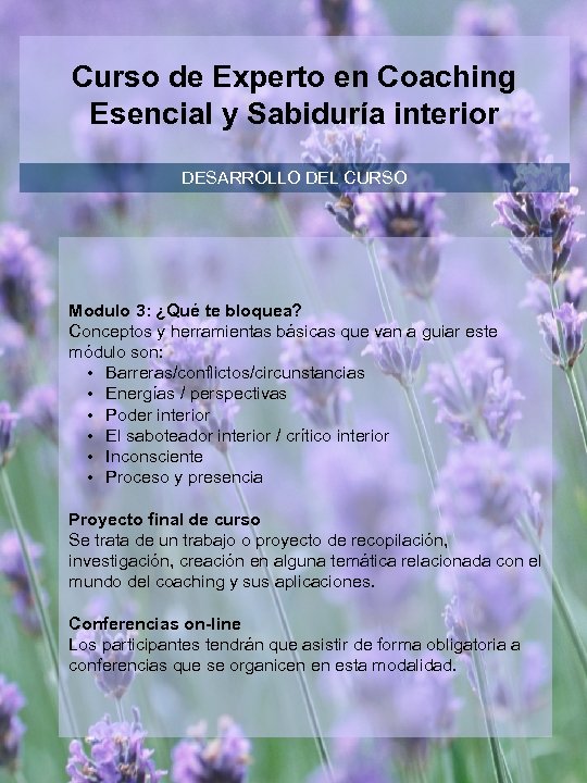 Curso de Experto en Coaching Esencial y Sabiduría interior DESARROLLO DEL CURSO Modulo 3: