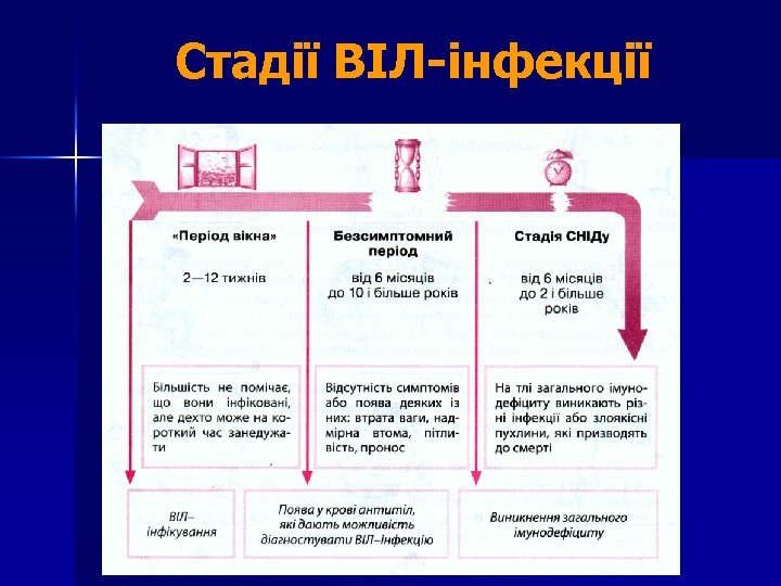 Стадії ВІЛ-інфекції 